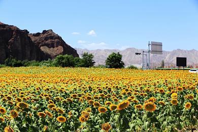 《DOTA2》TI冠军选手：实际到手不到100万美元